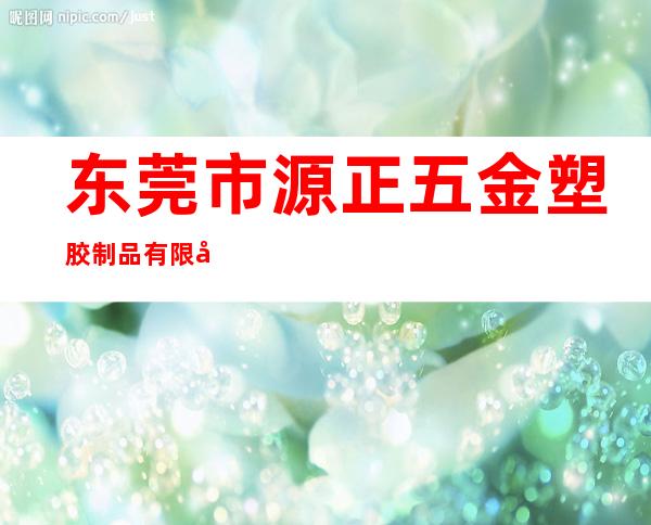 东莞市源正五金塑胶制品有限公司