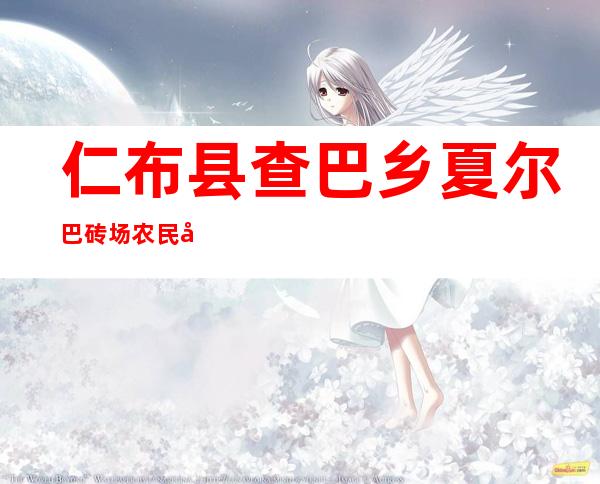 仁布县查巴乡夏尔巴砖场农民合作社