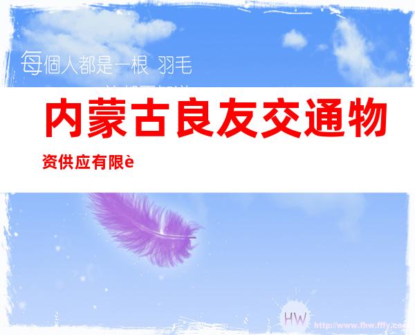 内蒙古良友交通物资供应有限责任公司