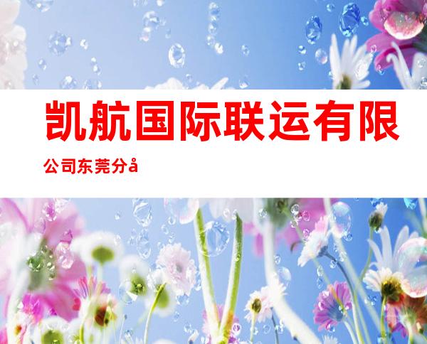 凯航国际联运有限公司东莞分公司