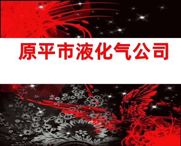 原平市液化气公司