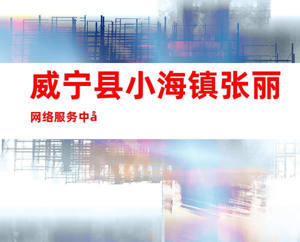 威宁县小海镇张丽网络服务中心