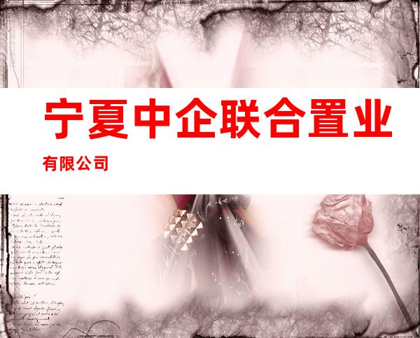 宁夏中企联合置业有限公司