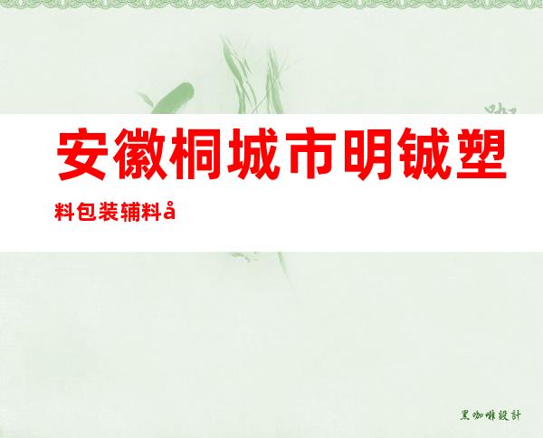 安徽桐城市明铖塑料包装辅料厂