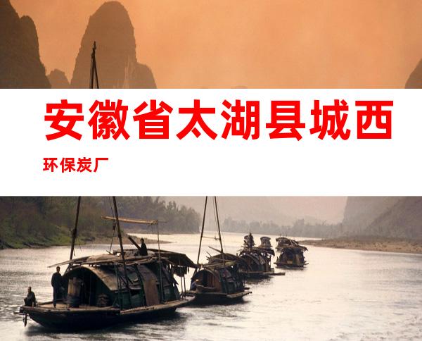 安徽省太湖县城西环保炭厂