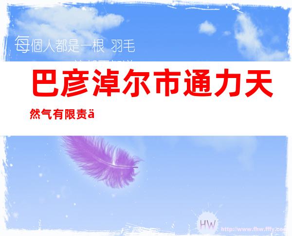 巴彦淖尔市通力天然气有限责任公司磴口县分公司