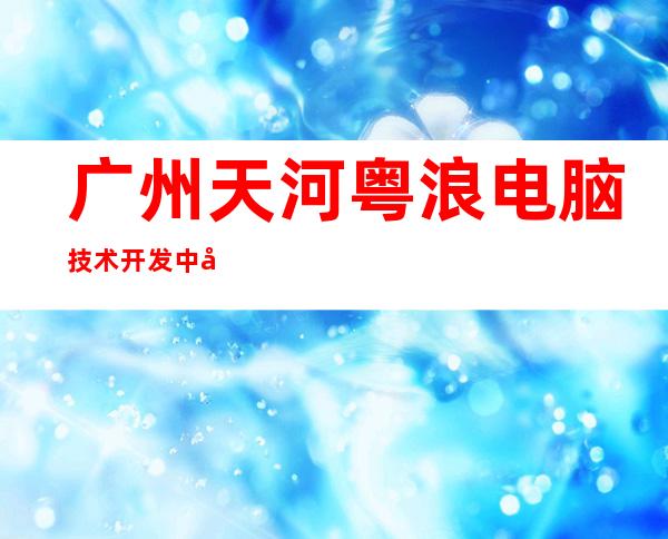 广州天河粤浪电脑技术开发中心