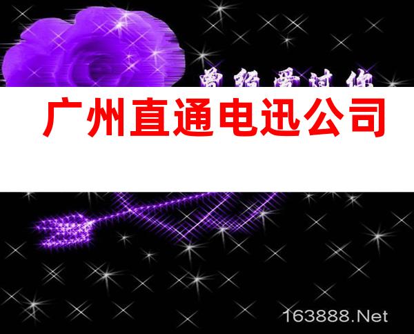 广州直通电迅公司