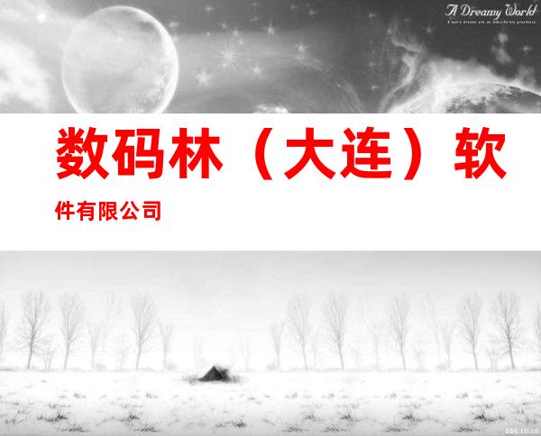 数码林（大连）软件有限公司