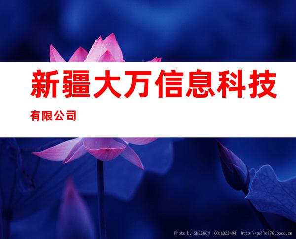 新疆大万信息科技有限公司
