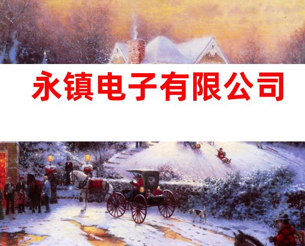 永镇电子有限公司