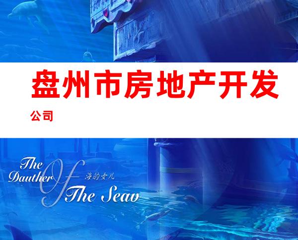 盘州市房地产开发公司